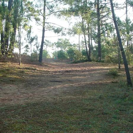 Agreable Pour 6 Pers, Balcon A 50m De La - Fr-1-323-308