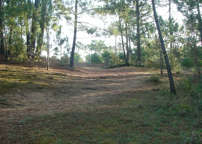 Agreable Pour 6 Pers, Balcon A 50m De La - Fr-1-323-308