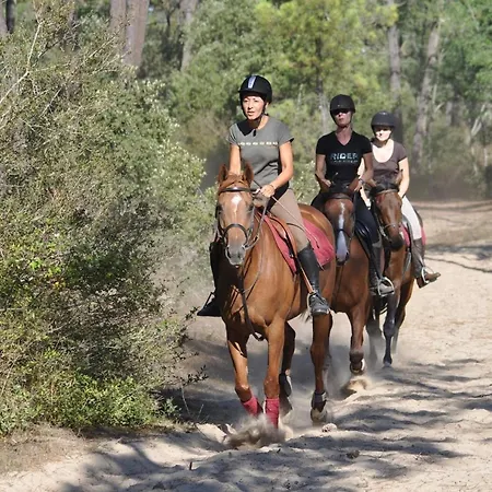 Confortable Avec Balcon à 50m De La Pour 6 Personnes - Fr-1-323-308 Appartement *