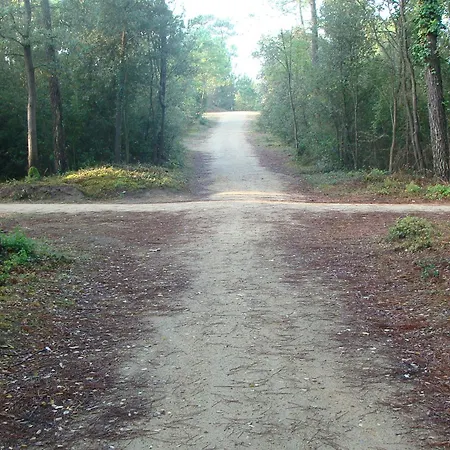 Appartement Confortable Avec Balcon à 50m De La Pour 6 Personnes - Fr-1-323-308 Saint-Jean-de-Monts