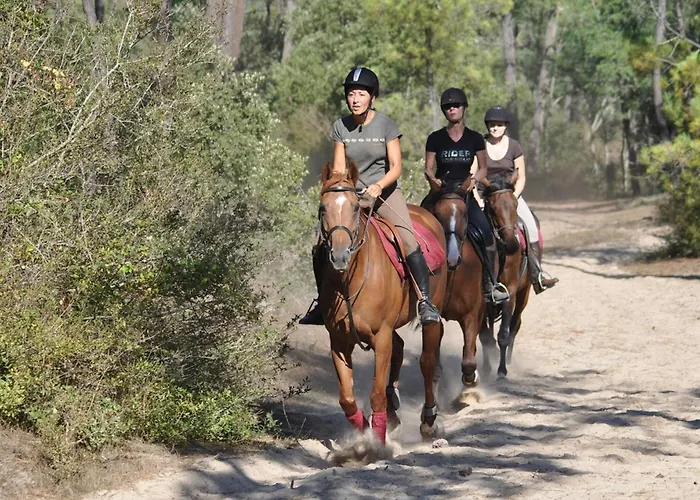 Confortable Avec Balcon à 50m De La Pour 6 Personnes - Fr-1-323-308 Appartement *