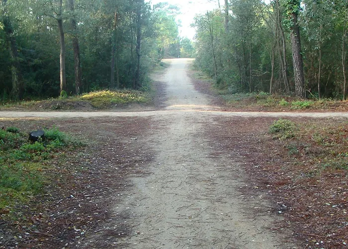 Appartement Confortable Avec Balcon à 50m De La Pour 6 Personnes - Fr-1-323-308 Saint-Jean-de-Monts